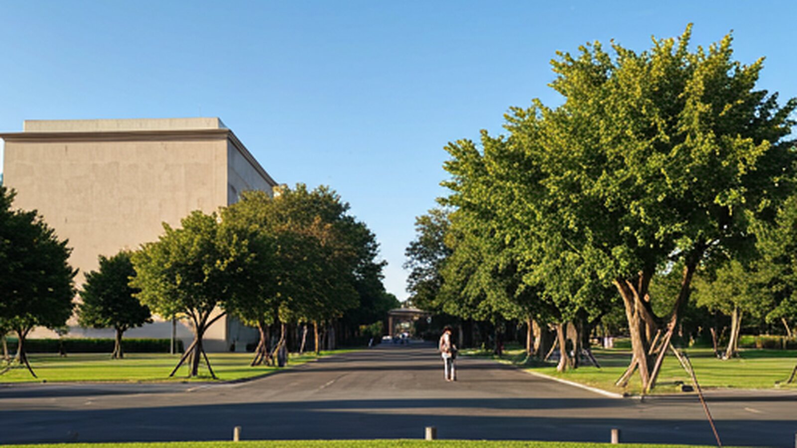 Estudiantes en el campus